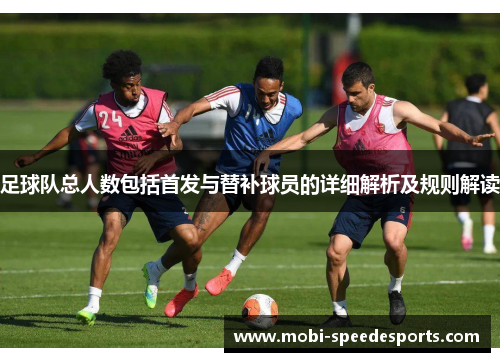 足球队总人数包括首发与替补球员的详细解析及规则解读
