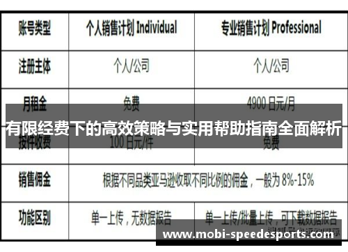 有限经费下的高效策略与实用帮助指南全面解析