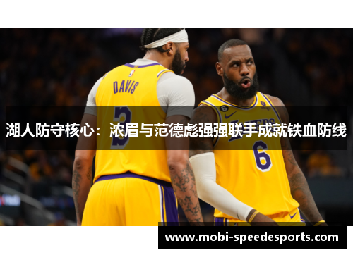 湖人防守核心：浓眉与范德彪强强联手成就铁血防线