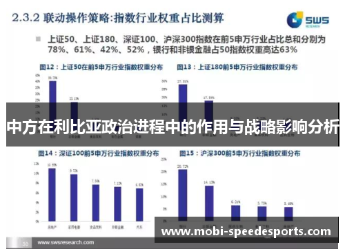 中方在利比亚政治进程中的作用与战略影响分析