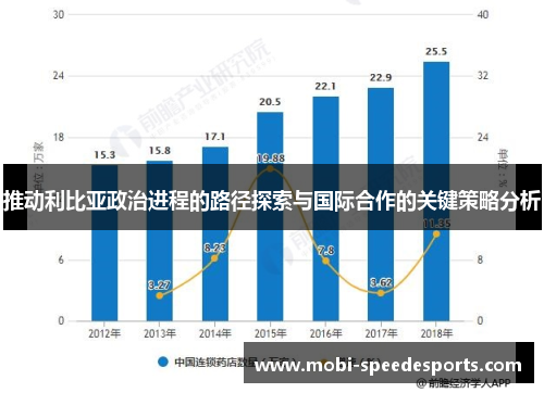 推动利比亚政治进程的路径探索与国际合作的关键策略分析
