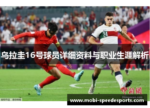 乌拉圭16号球员详细资料与职业生涯解析