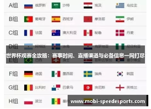 世界杯观赛全攻略：赛事时间、直播渠道与必备信息一网打尽