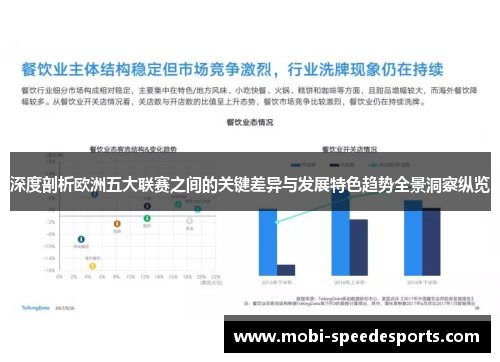 深度剖析欧洲五大联赛之间的关键差异与发展特色趋势全景洞察纵览