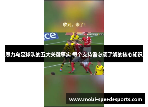魔力鸟足球队的五大关键事实 每个支持者必须了解的核心知识 魔力鸟足球队的五大关键事实 每个支持者必须了解的核心知识
